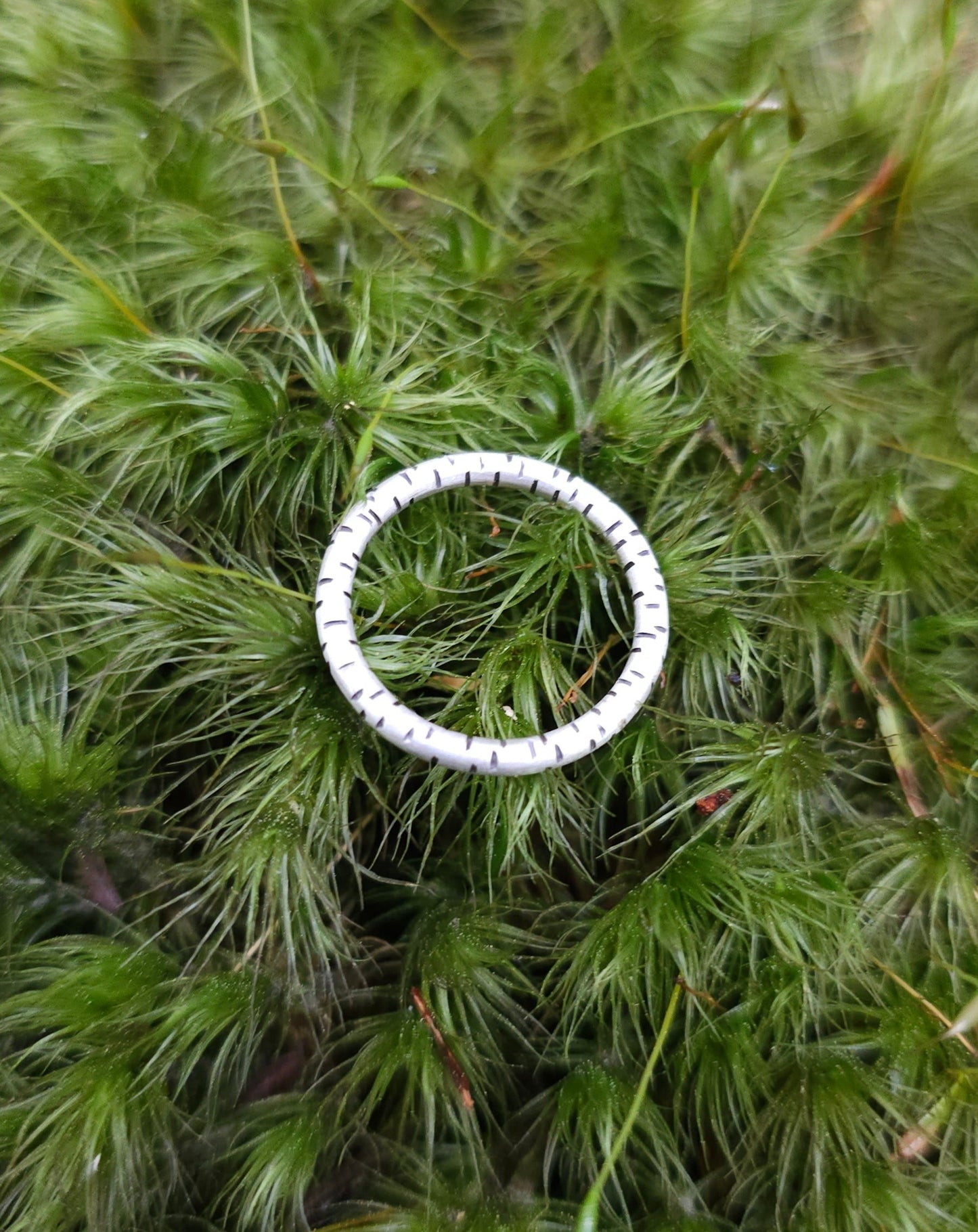 Bague Bouleau, jonc inspiré de l'écorce du bouleau. Argent sterling. Bague mixte, pour femme et homme.